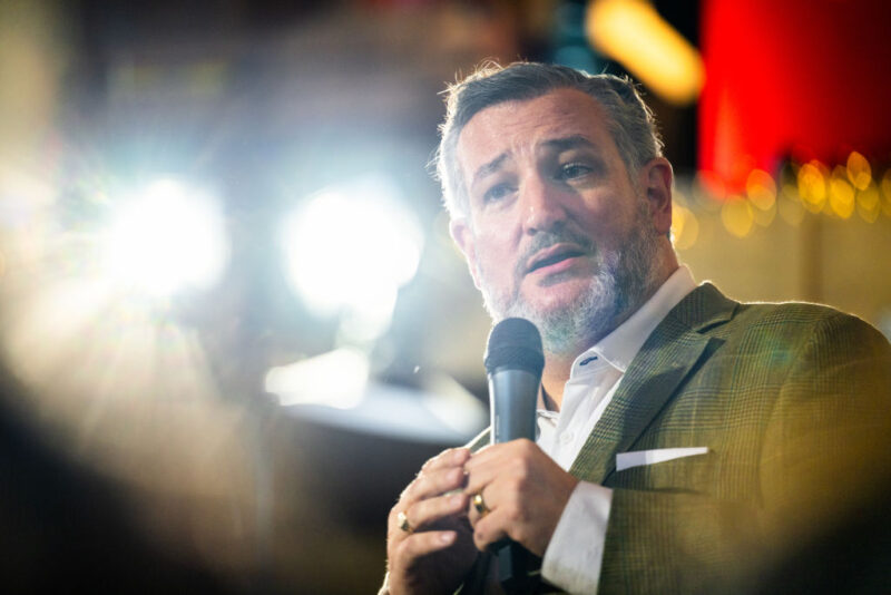 Ted Cruz Says ‘Stop Attacking Pedophiles!’ At Senate Hearing