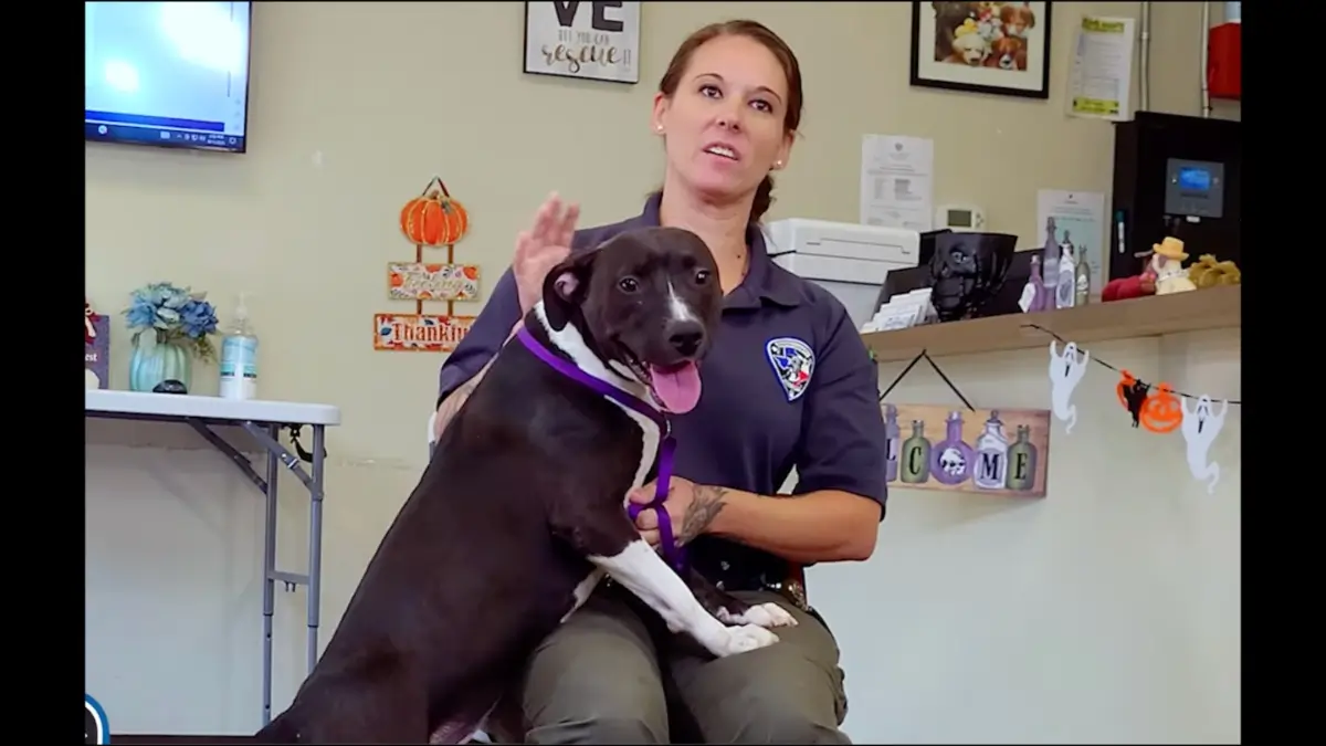 ‘There’s No Excuse’: White Texas County Worker Joins Unemployment Line Because She Thought Replacing a Racist Slur with ‘Obama-Rigged’ Was Acceptable