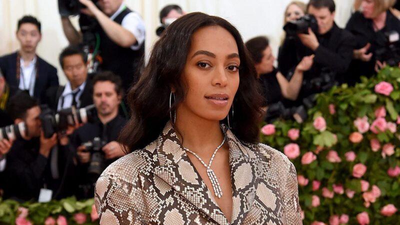 Solange Knowles launches Saint Heron Library to archive rare and out-of-print books by Black authors