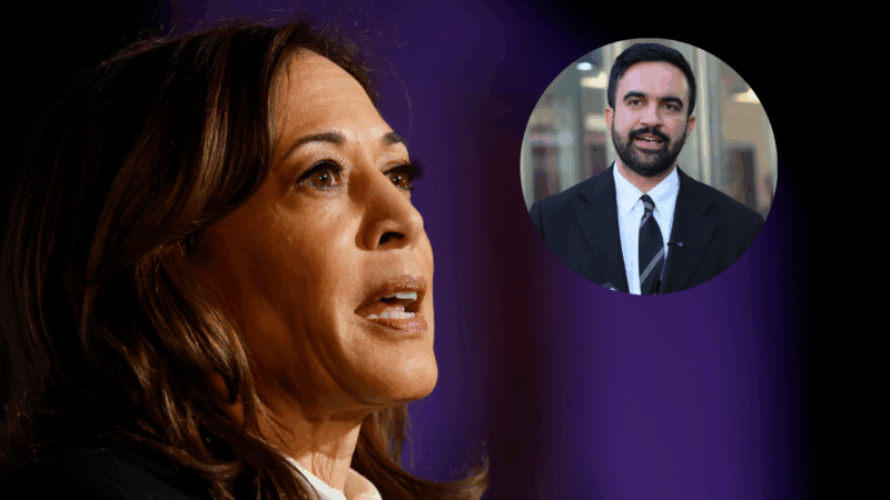 Kamala Harris offers measured endorsement of NYC Democratic mayoral candidate Zohran Mamdani