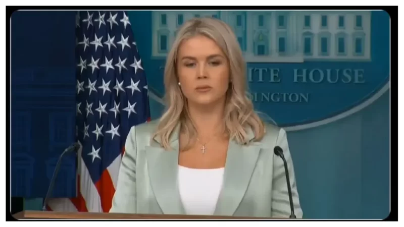 ‘The Crash Out Is Amazing’: Karoline Leavitt Looked ‘Terrified’ When Pressed About the Files—Then Charlie Kirk’s Death Fueled Insane Trump Theories