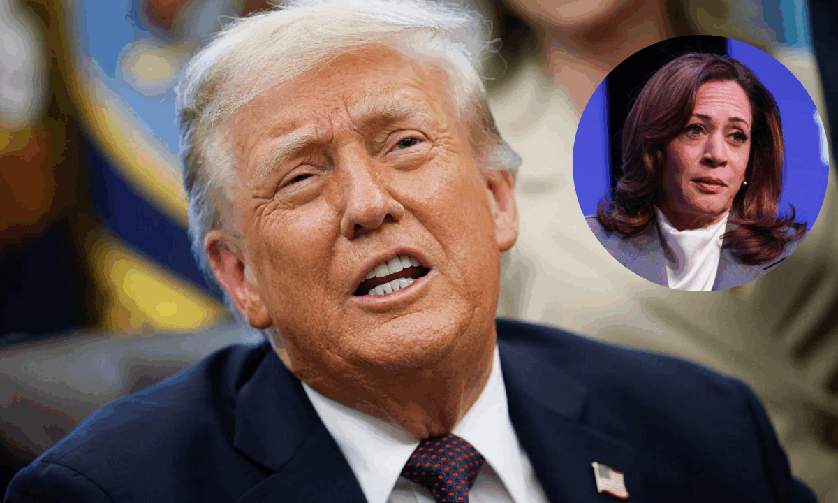 Trump calls Kamala Harris ‘DUMB AS A ROCK’ over claim about the 2024 election