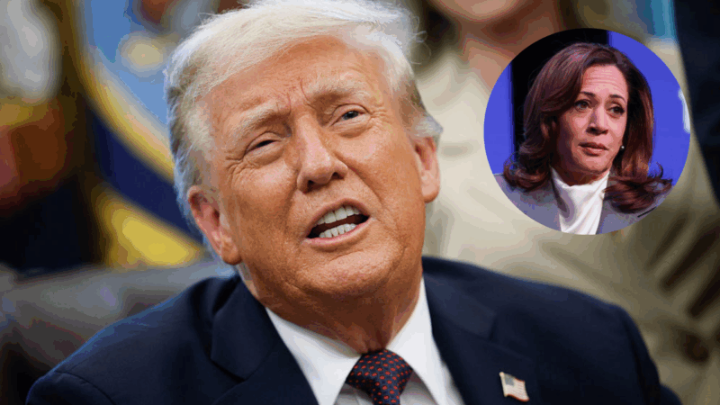 Trump calls Kamala Harris ‘DUMB AS A ROCK’ over claim about the 2024 election