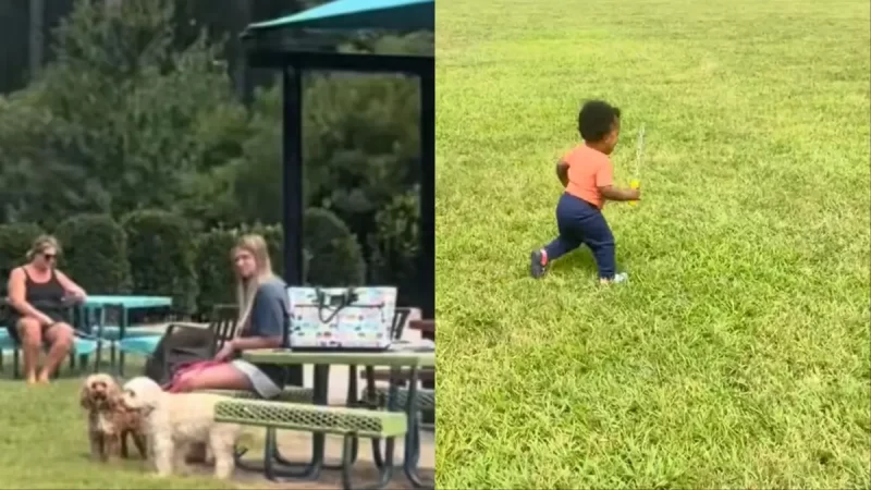 ‘What Are They Talking About?’: White Women Demanded Black Children Leave Playground So Their Dogs Could Roam Free and When Mom Refused They Called the Cops, She Says