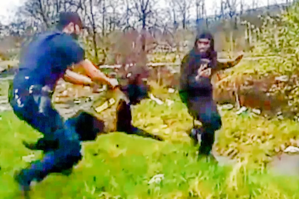 ‘What Is All You Doing, Man?’: A Black Man Was in a Dodge, Cops Were Looking for a Malibu — The K-9 Attack Was Just the Start