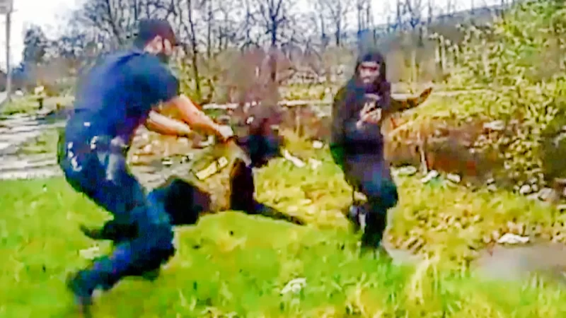 ‘What Is All You Doing, Man?’: A Black Man Was in a Dodge, Cops Were Looking for a Malibu — The K-9 Attack Was Just the Start