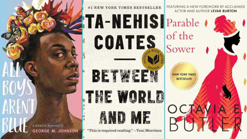 16 banned books by Black authors that America needs now more than ever