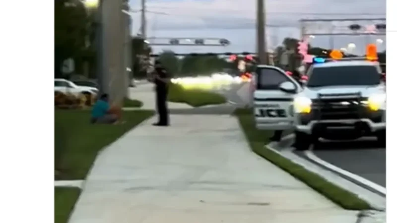 ‘Must Have Been So Scared’: Woman Pretending to Be ‘Auntie’ Walks Up on Police Stop Involving Black Teen and What Happened Next Had Everyone Cheering