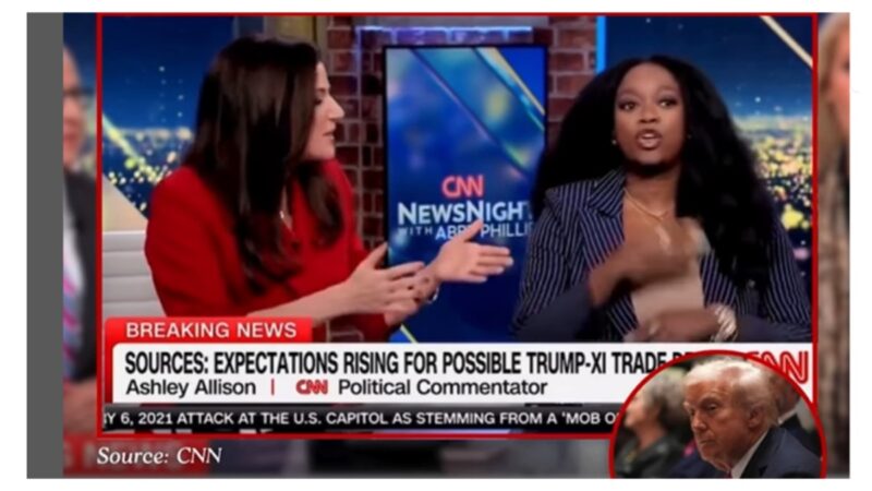 ‘Let Me Finish!’: MAGA Strategist Loses It on CNN Trying to Prove Trump’s a Mastermind — and Every Panelist Takes a Turn Shutting Her Down