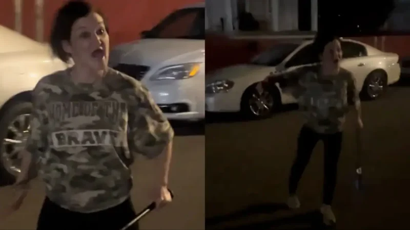 ‘What Did She Say?!’: Bat-Swinging White Woman Hurls Racial Slur In Video, and the Internet Drags Her with Vicious Nicknames