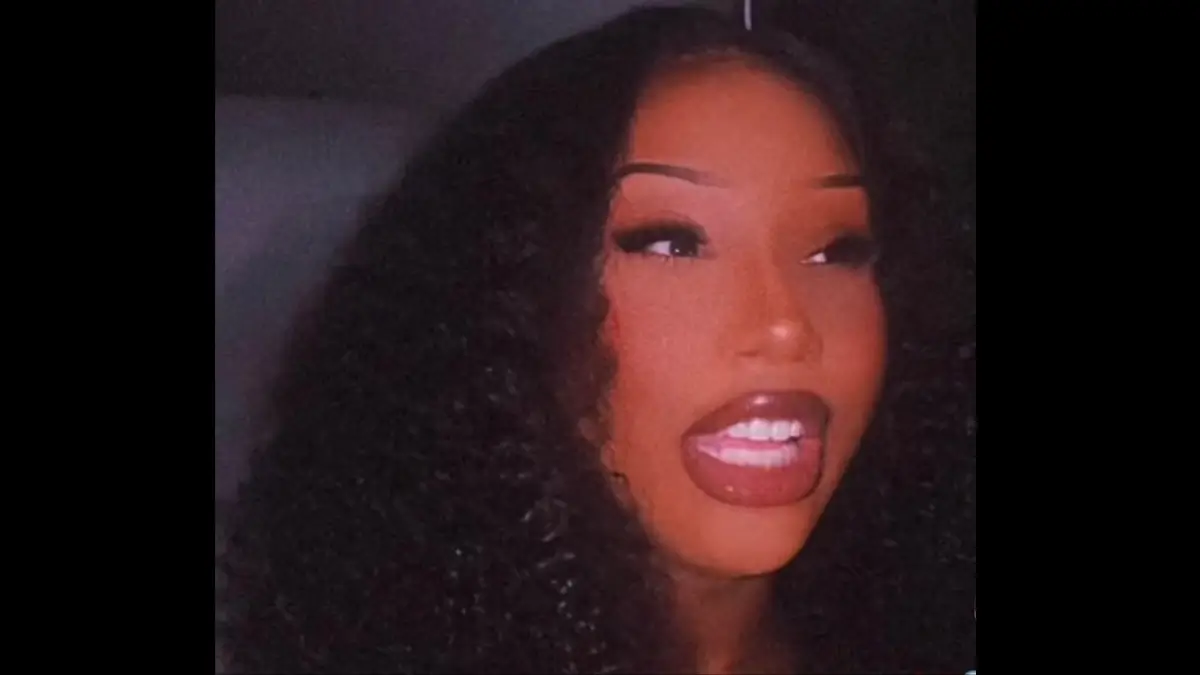 ‘Racists Not Welcome’: Black Woman Has the Last Laugh After White Fans Accuse Her of Not Paying for Jonas Brothers Concert Tickets and Call Security