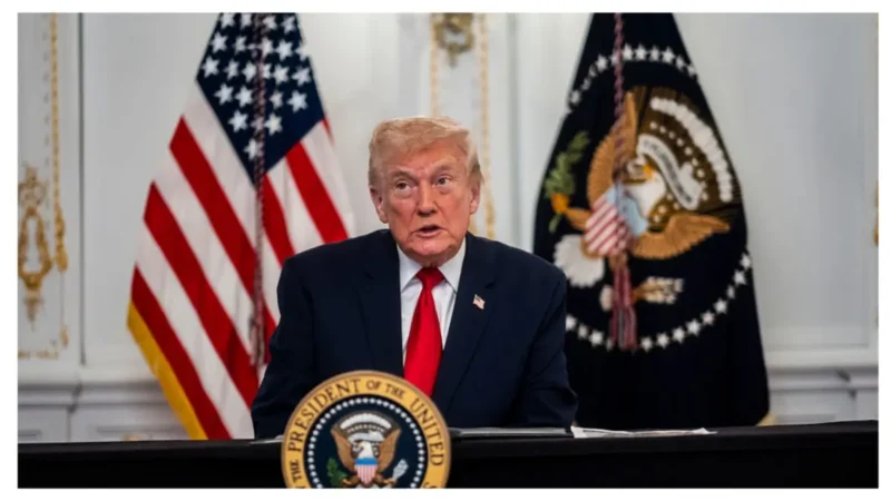 ‘No Brains Left’: Trump’s Search for a Simple Answer Goes Off the Rails — and Viewers Say the Next Moment Revealed the One Flaw He Can No Longer Hide