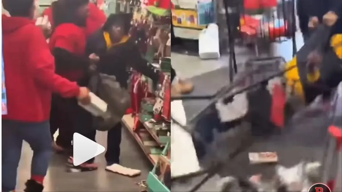 ‘Gets Worse and Worse’: Family Dollar Workers Yank Mentally Ill Woman By Her Coat, Drag Her Across Floor in Viral Video, Sparking Calls for Lawsuit