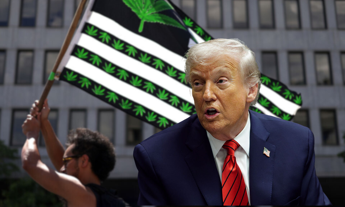 President Trump wants to cut restrictions on marijuana through executive order: report