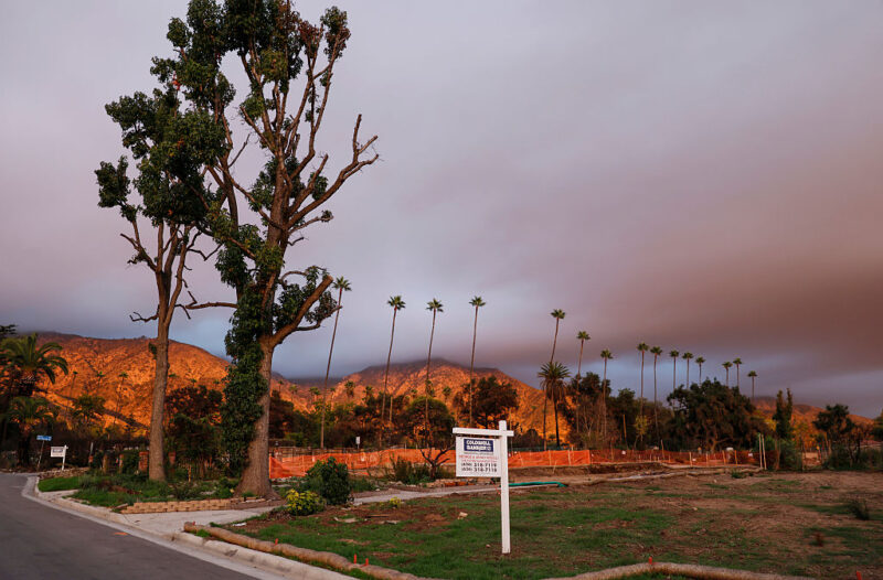 Altadena Fires 1 Year Later: Recovery Is Still Uneven