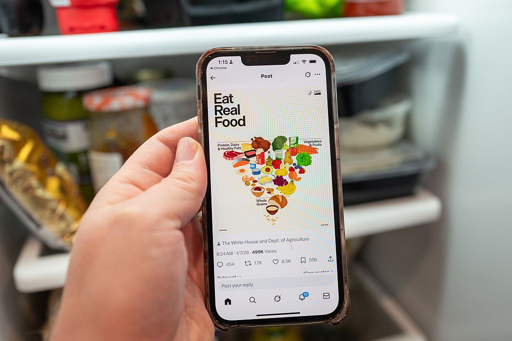 New Food Pyramid Vs. The Old: Complete Comparison Guide For 2026