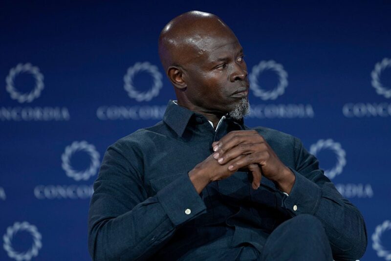 Djimon Hounsou’s ex-girlfriend released from jail after being arrested for assaulting him