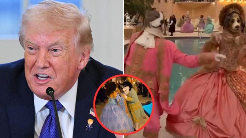 ‘Why Is Trump Wearing a Pig Mask?’: Mar-a-Lago Party Gone Wrong Leaves Viewers Gagging Over Sweaty Dog Masks and a Background That Feels Deeply Off