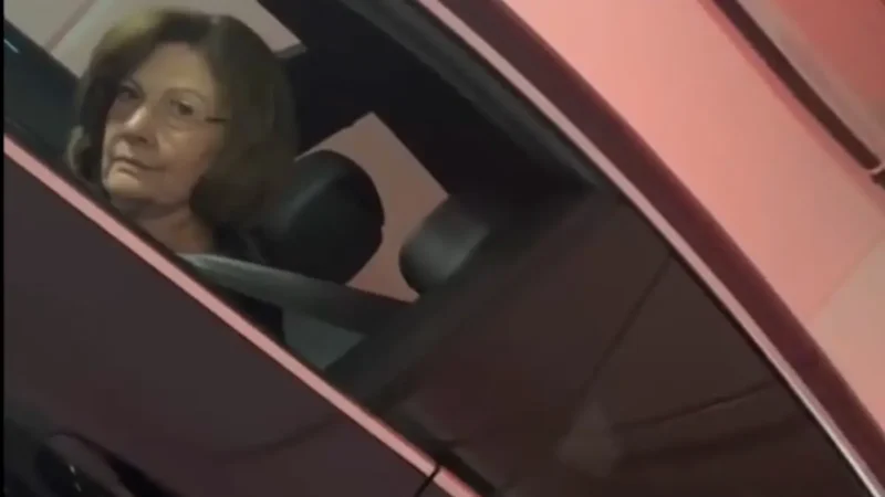 ‘Couldn’t Say Anything After’: Karen Trying to Check Black Man for Parking Too Long Was Left Speechless After His Reaction