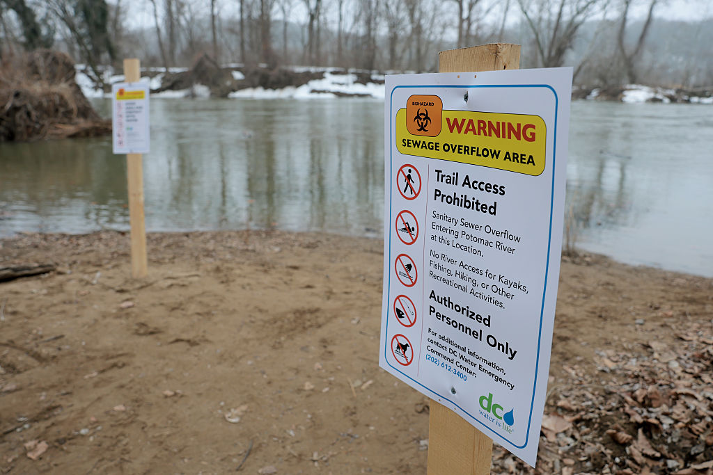 Everything We Know About The Potomac Sewage Spill