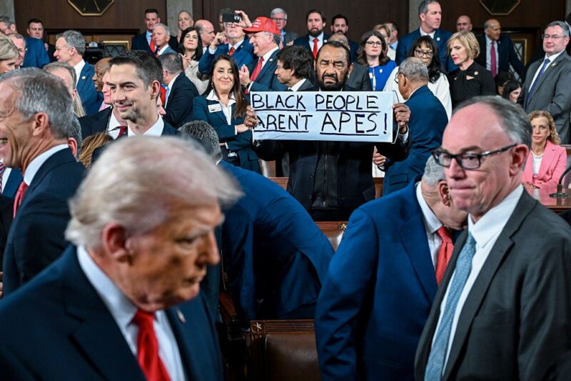 Rep. Al Green holds up sign reading ‘Black People Aren’t Apes’ at Trump’s State of the Union
