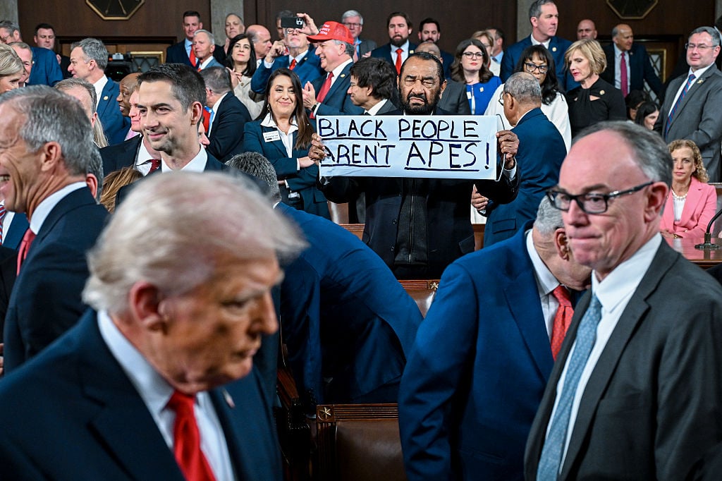 Rep. Al Green holds up sign reading ‘Black People Aren’t Apes’ at Trump’s State of the Union