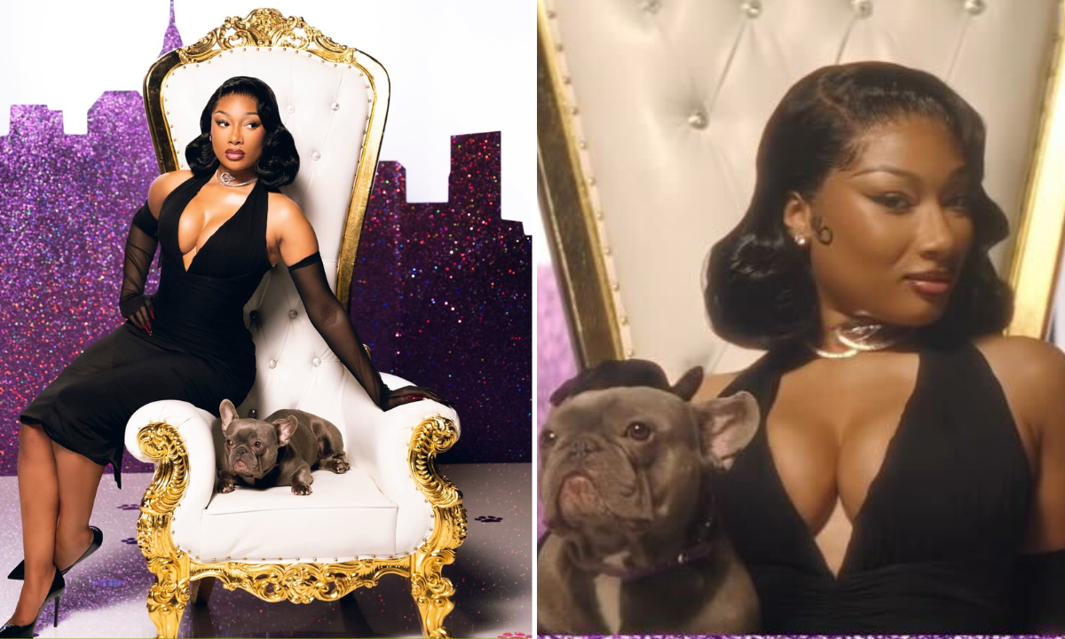 Megan Thee Stallion partners with the Westminster Dog Show