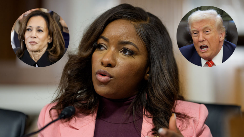 Crockett says she is facing same misogynoir Kamala Harris did; calls out irony of Trump being a convicted felon