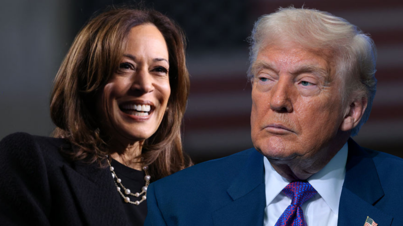 New poll shows Kamala Harris would handily defeat Trump in 2024 rematch if election were held today