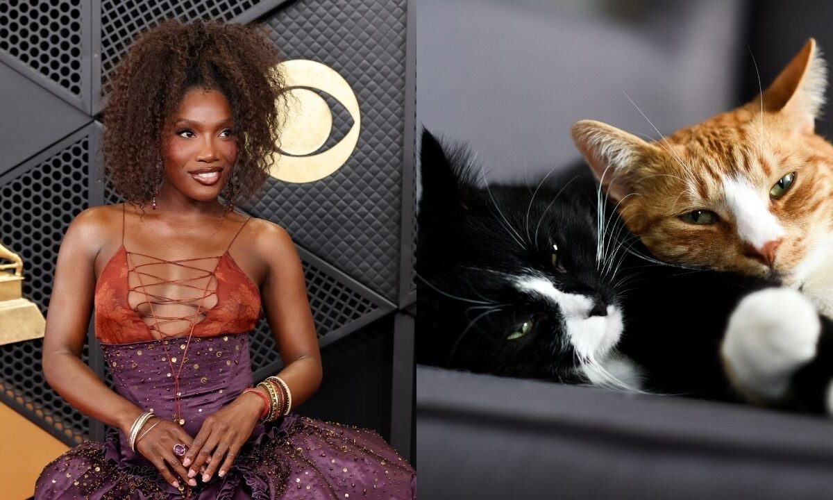 Doechii, like many in the Black community, doesn’t think cats are friendly…but are they wrong?