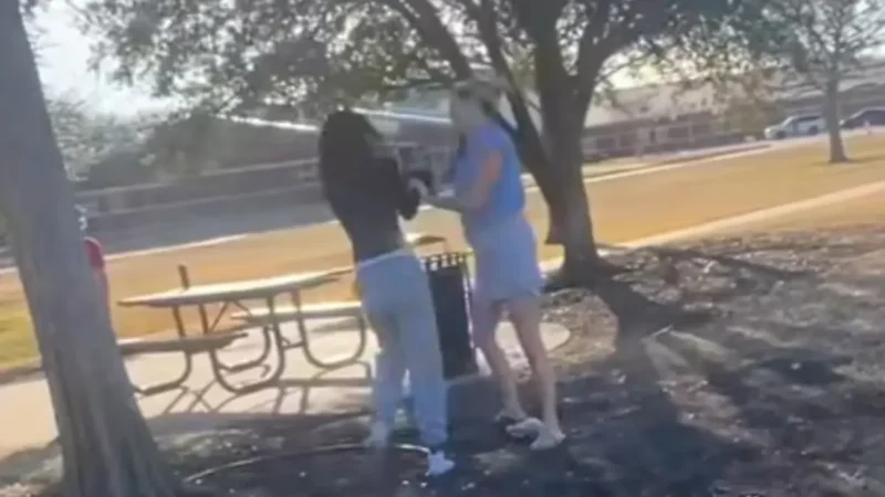 ‘Back Up! You Wanna Bring It?’: White Woman Arrested After Video Shows Attacking 13-Year-Old Black Girl in Park Over Argument with Son