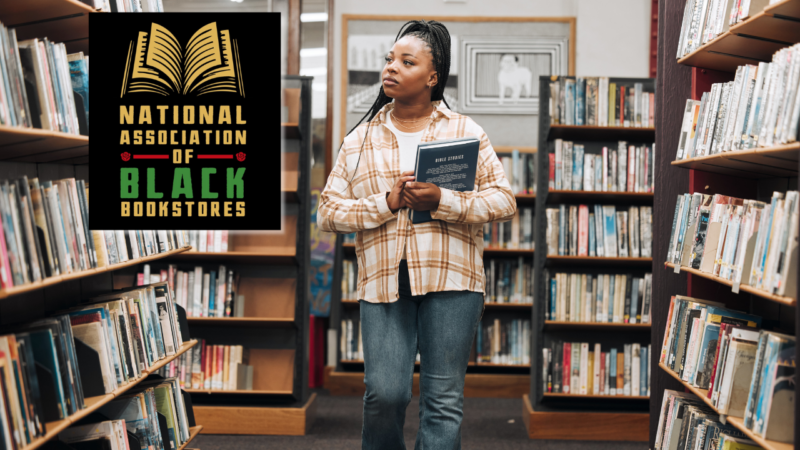 There are 306 Black-owned bookstores in the US, and now you can easily track all of them