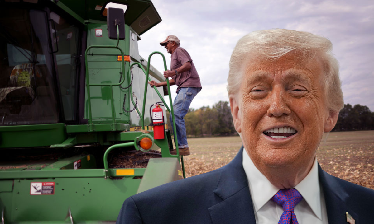 USDA cuts to $300M land-buying grant further starves Black farmers: ‘White-only America’