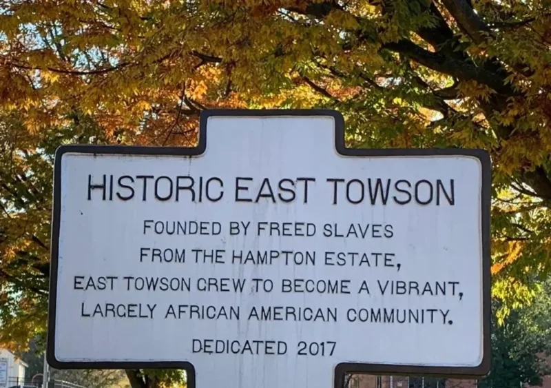 A historic Black community in Maryland is fighting to protect its last wetlands from development