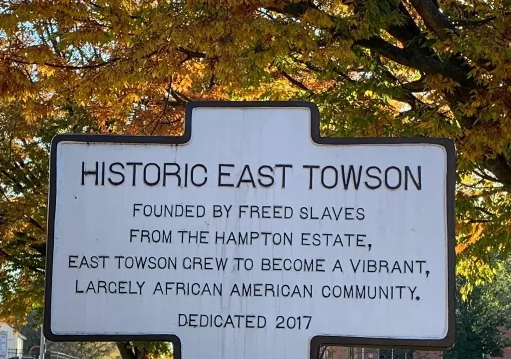 A historic Black community in Maryland is fighting to protect its last wetlands from development