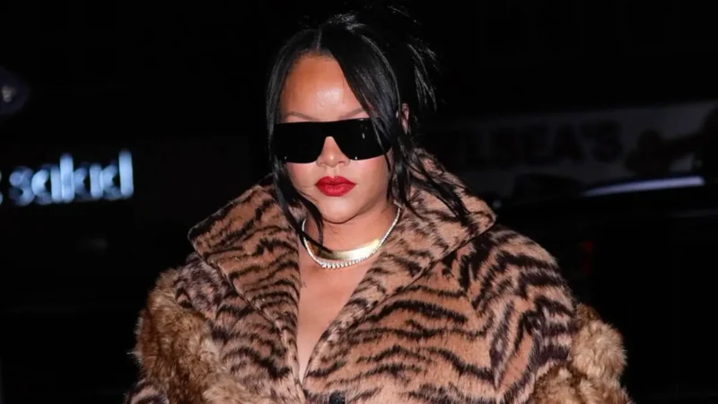 ‘That’s Crazy’: Deranged Woman Who Targeted Rihanna and Her Family Faces Brutal Setback After Judge’s Decision Leaves Her Scrambling