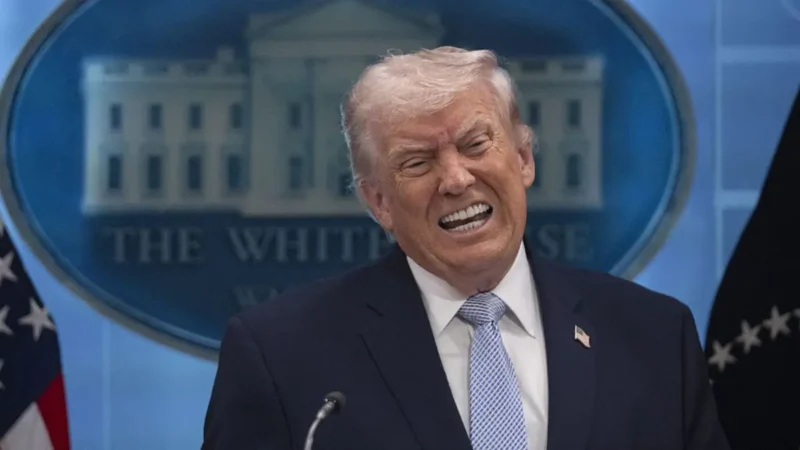 ‘She Should Have Slapped Him’: Trump Veers Off Mid Rant as His Eyes Lose Focus Then Introduces the Woman He Married Like She’s a Stranger