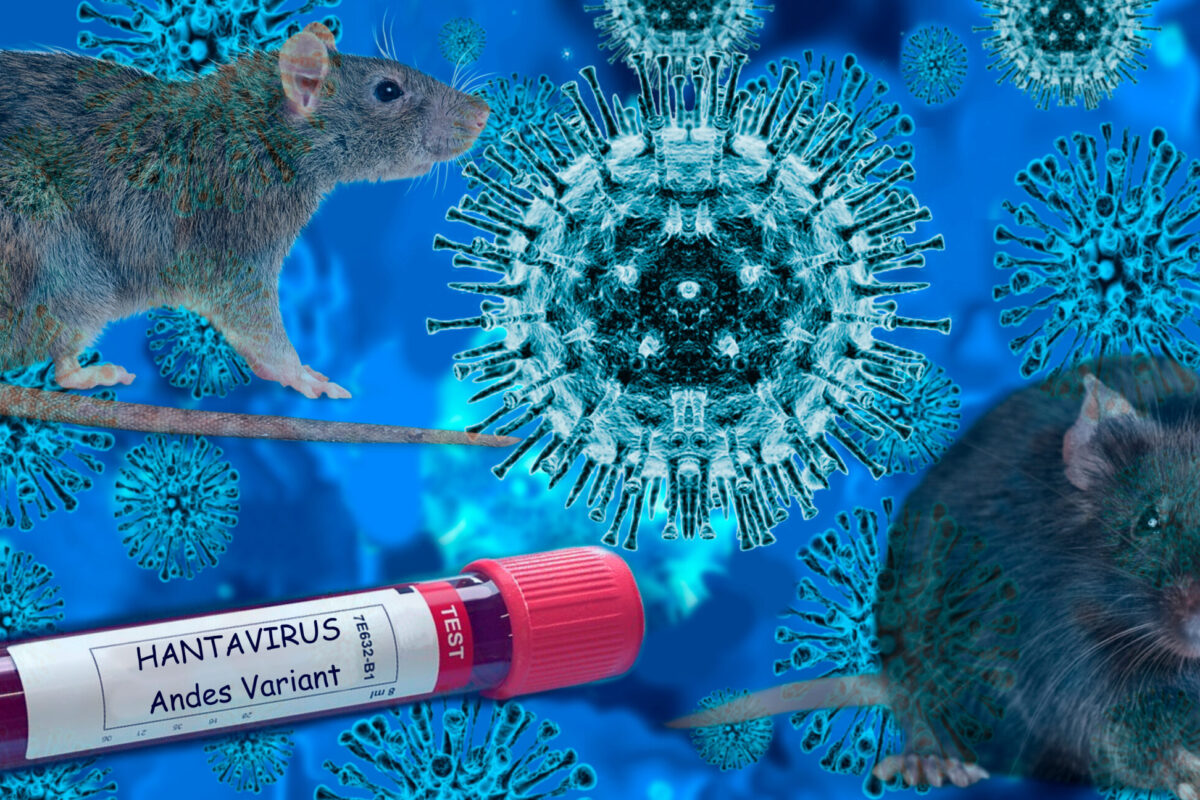 Should we be worried about this hantavirus? Here’s what Black health experts are saying