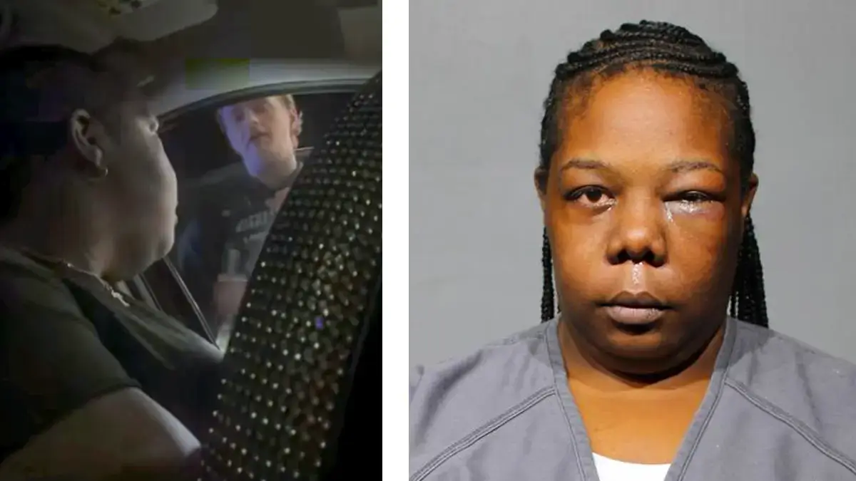 ‘Shut Your…. Mouth!’: Florida Cop Yanks Black Woman Out of Car and Knees Her in the Face Over Partially Open Window During Minor Traffic Stop