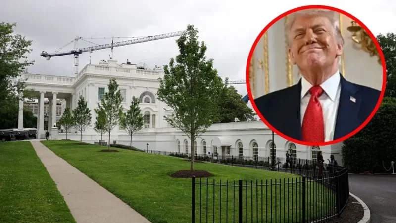 ‘Is That a Ferris Wheel?’: Trump’s UFC Renovation Project Looks Even More Brutal Up Close as Fans Compare the Arena to a Theme Park