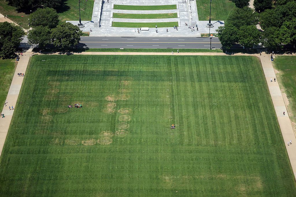 Giant ’86 47′ Marker Found On Lawn Of National Mall 