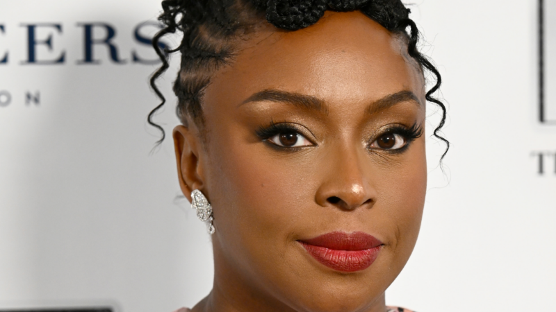 ‘This weight is too heavy’: Chimamanda Ngozi Adichie alleges medical negligence by hospital over her one-year-old son’s death
