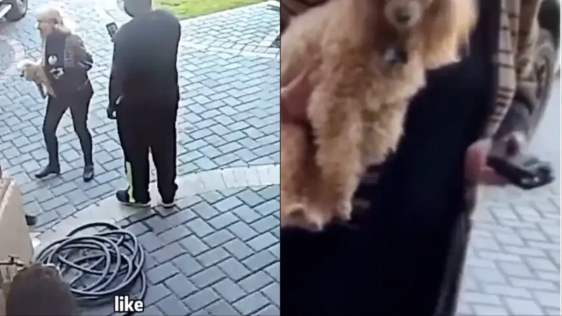 White Woman with Stun Gun Demands That African-American Family Submit to Her and ‘Stop Acting Black,’ Then Claims to Have Proof She’s Not Racist