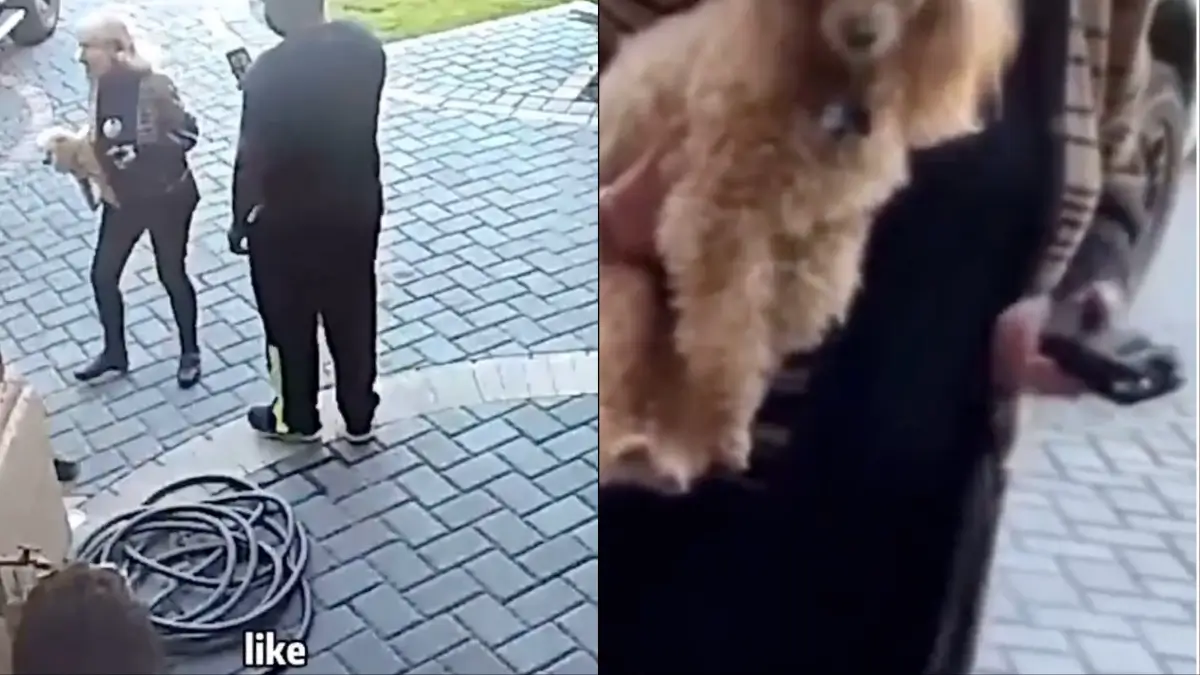 White Woman with Stun Gun Demands That African-American Family Submit to Her and ‘Stop Acting Black,’ Then Claims to Have Proof She’s Not Racist