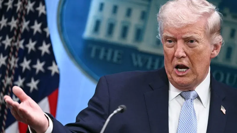 ‘I Never Beg’: Trump Becomes Completely Undone After a Woman Rejects Him, Then She Fires Back So Cleanly It Broke Him Twice, and Now He Can’t Stop Spiraling
