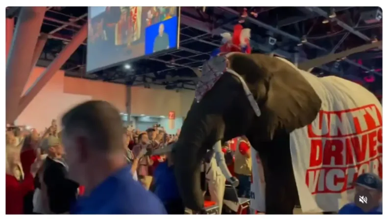 ‘Oh No!’: Republicans Thought They’d End the Convention with a Showstopper — Instead the Entire Room Ended Up Watching a Disaster Unfold in Real Time