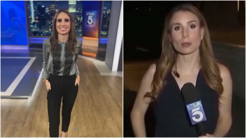 ‘Shake It Off’: Reporter Refuses to Stand Down After Crawling Insect Hijacks Her Live Shot Like Nothing Is Wrong