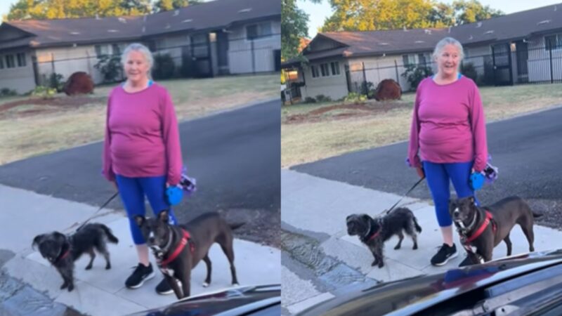 ‘Giving You One Chance to Walk Away!’: White Neighbor Accuses Black Woman of Doing Drugs While Sitting in Parked Car