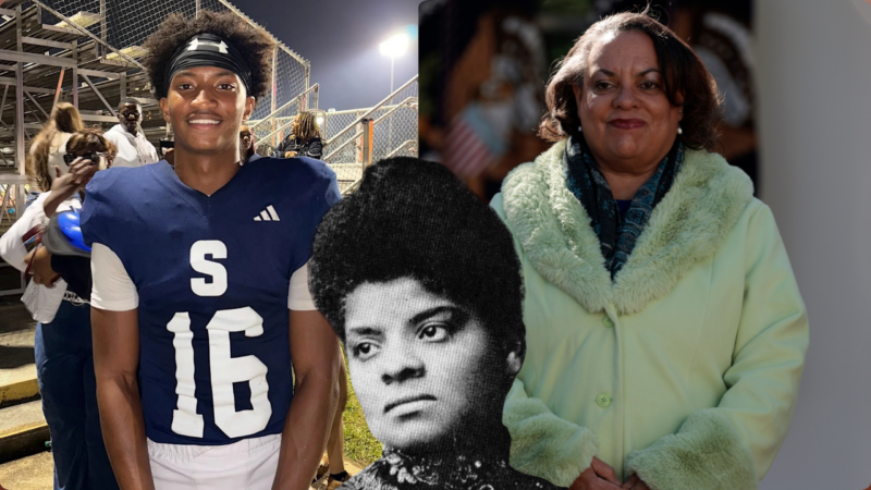 ‘Not biologically related’: Great-granddaughter of Ida B. Wells clears up theory Nolan Wells is a descendant of the famed journalist and activist