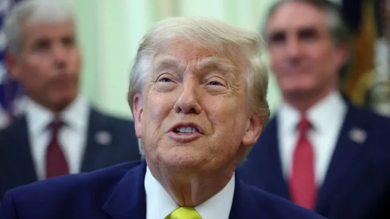 ‘So Stupid It Hurts’: Trump Trashes Blue States with a Nasty Insult, But He Doesn’t Realize the Joke Is on Him After He Completely Ignores the Detail That Wrecks His Own Argument